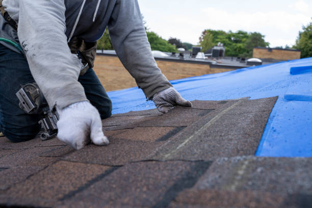 Best Roof Gutter Cleaning  in Yadkinville, NC